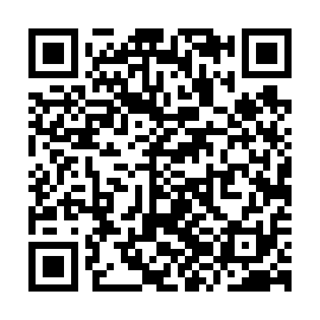 QR code for YZD611
