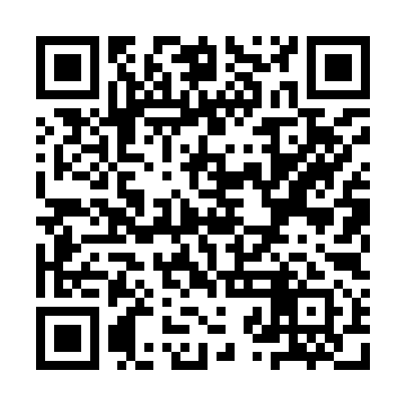 QR code for YZL991