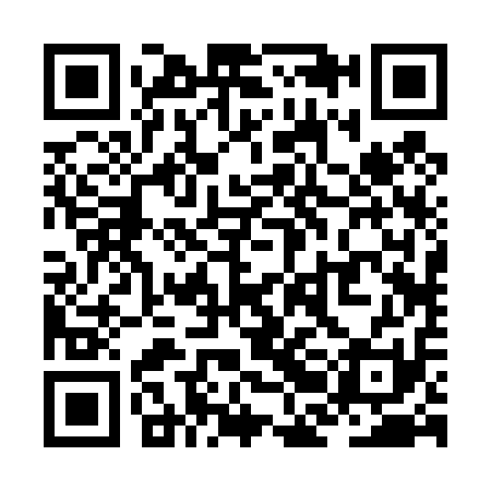 QR code for ZBB411