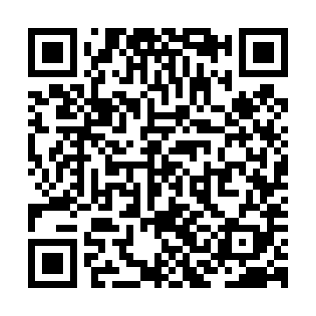 QR code for ZCG489