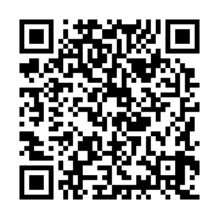 QR code for ZCH389