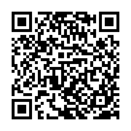 QR code for ZCK384