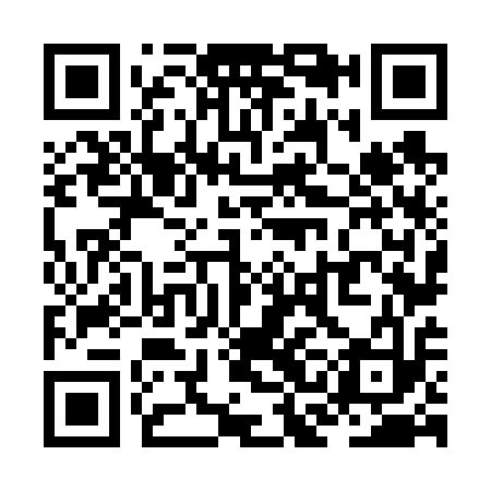QR code for ZCN613