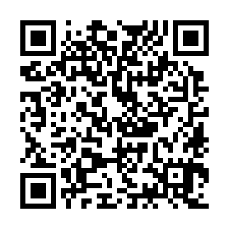 QR code for ZCO385