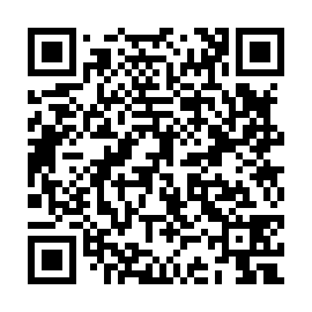 QR code for ZCS838