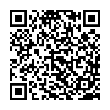QR code for ZCX541