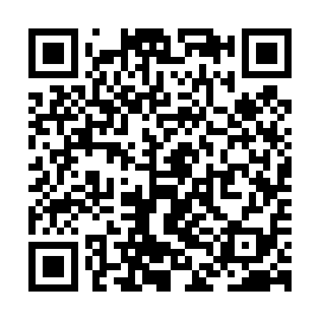 QR code for ZDC419