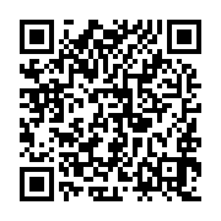 QR code for ZDD993