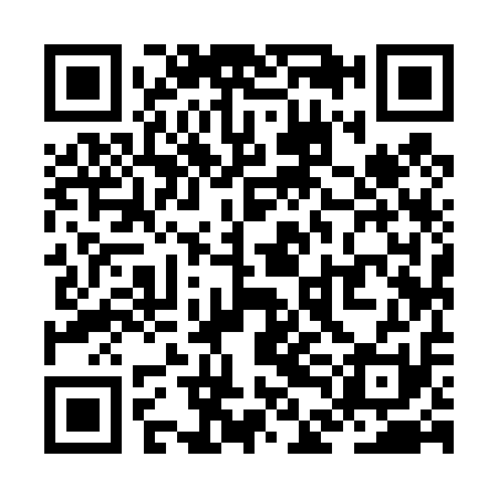 QR code for ZDI411