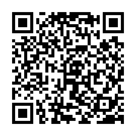 QR code for ZDK738