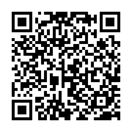 QR code for ZDL385