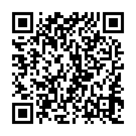 QR code for ZDL959