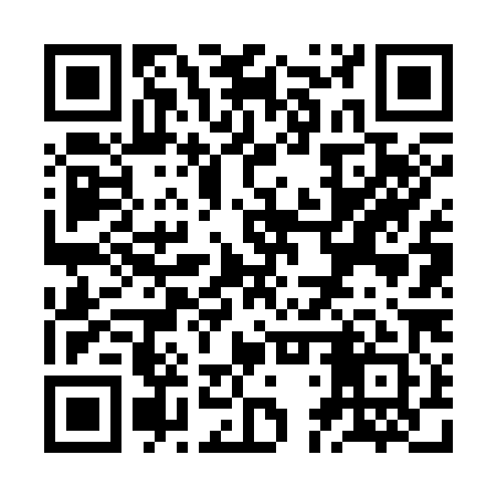 QR code for ZDV381