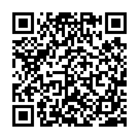 QR code for ZFL667
