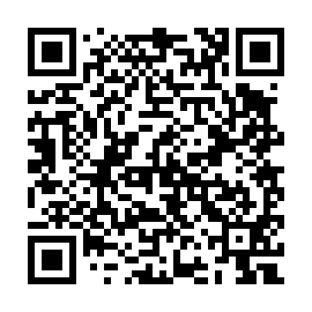 QR code for ZFR491