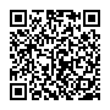 QR code for ZGC379
