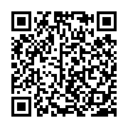 QR code for ZGC619