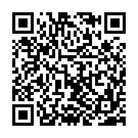 QR code for ZHI916