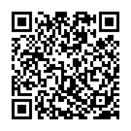 QR code for ZHS411