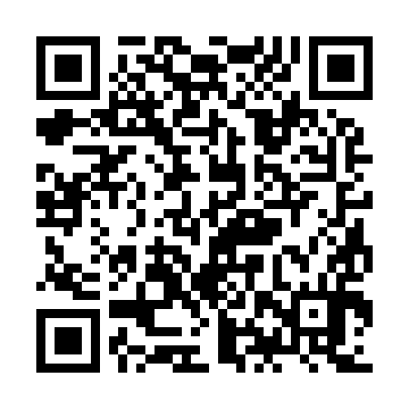 QR code for ZHS994