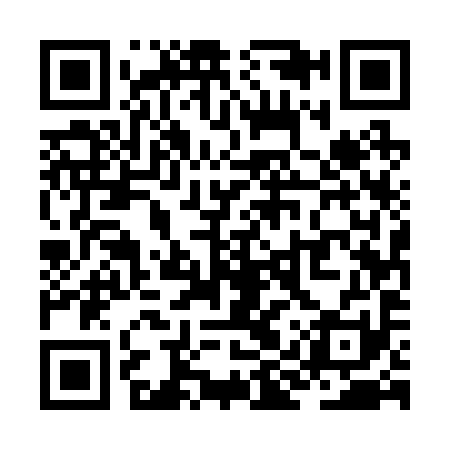 QR code for ZIU291