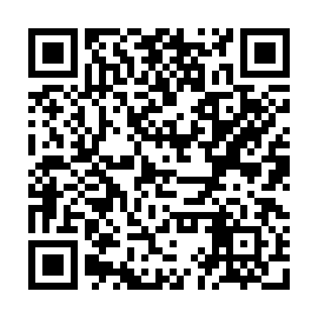 QR code for ZIZ382