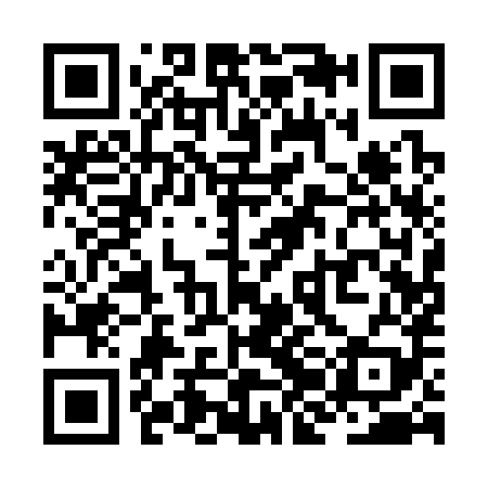 QR code for ZJA389