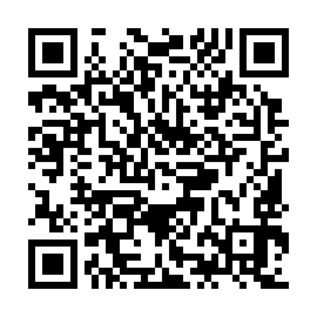 QR code for ZJM393