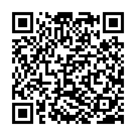 QR code for ZLD228