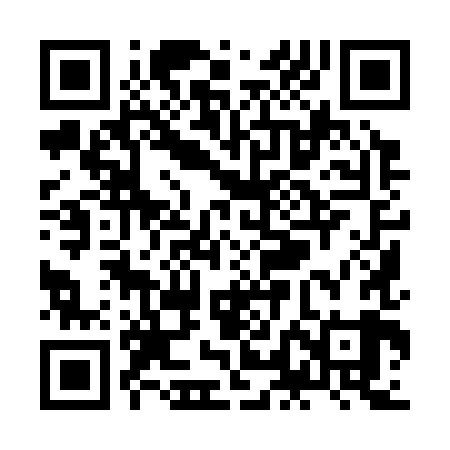 QR code for ZLI389