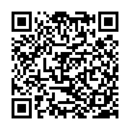 QR code for ZLI501