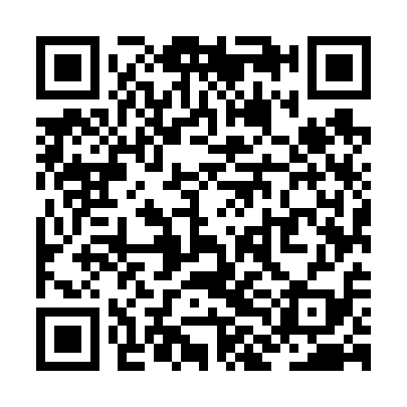 QR code for ZLM619