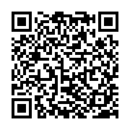 QR code for ZLO381
