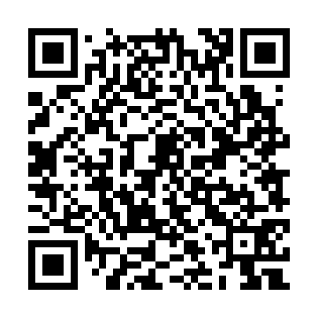QR code for ZLT371