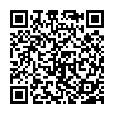 QR code for ZLU579