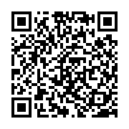QR code for ZLU729
