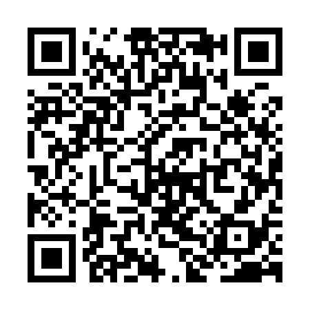 QR code for ZLU938