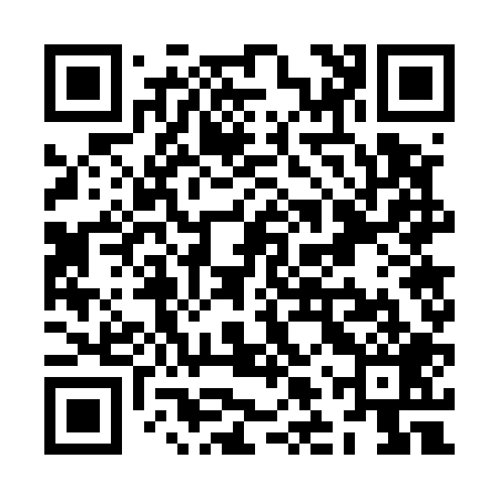 QR code for ZLW509