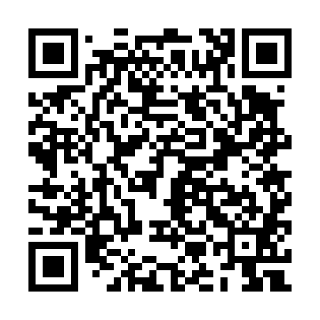 QR code for ZMG481