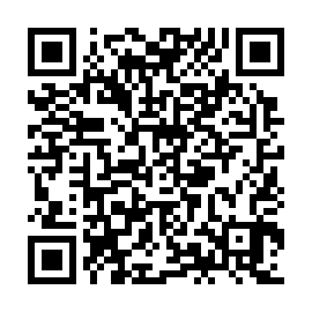 QR code for ZMN303