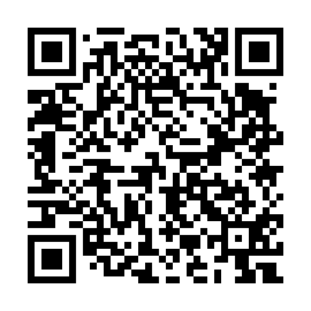 QR code for ZMQ411