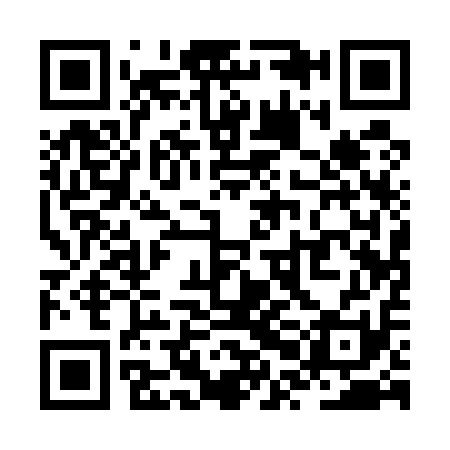 QR code for ZPA511