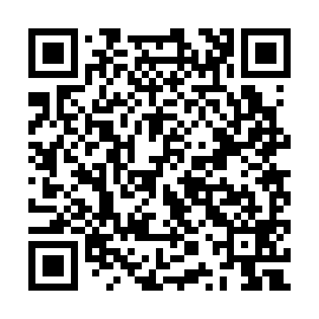 QR code for ZPR399