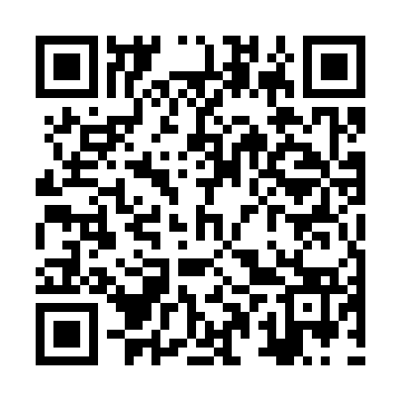 QR code for ZPU373