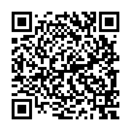 QR code for ZQL199