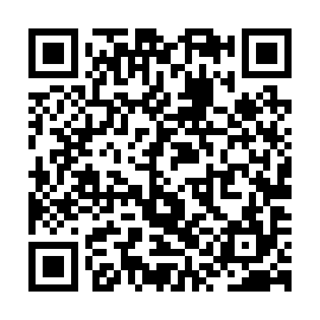 QR code for ZQL294