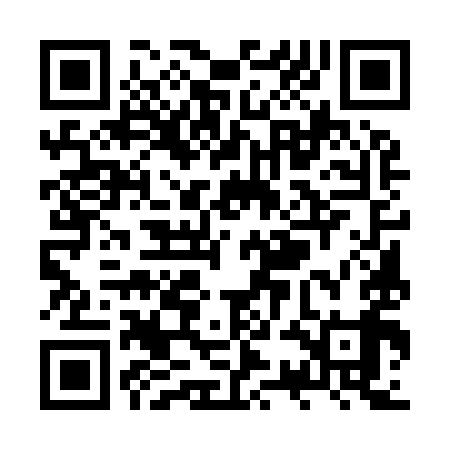 QR code for ZSE999