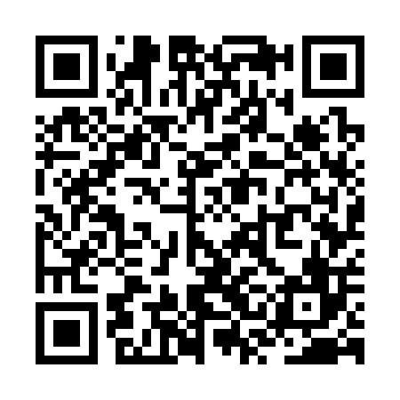 QR code for ZSG306