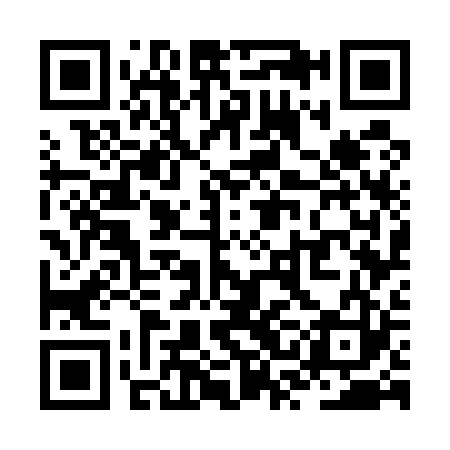 QR code for ZSG523