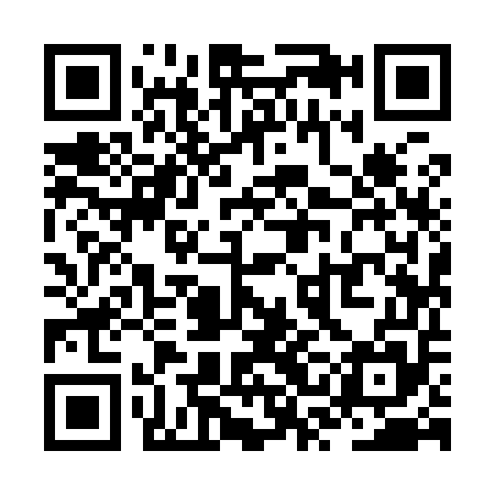 QR code for ZSI955